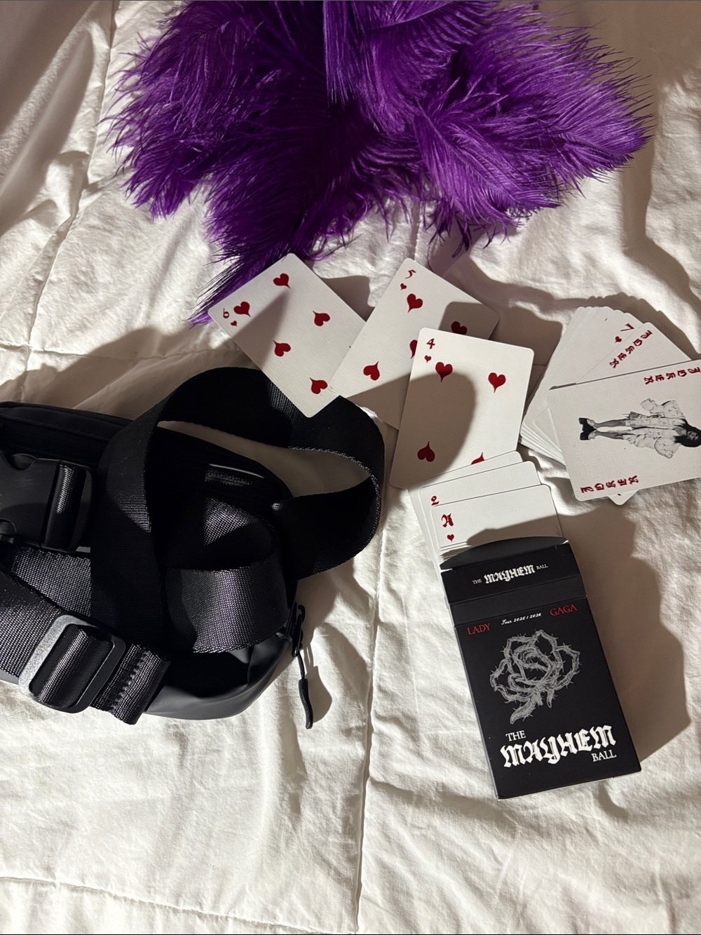 Lady Gaga Mayhem Ball VIP Bundle - Picture 2 of 3